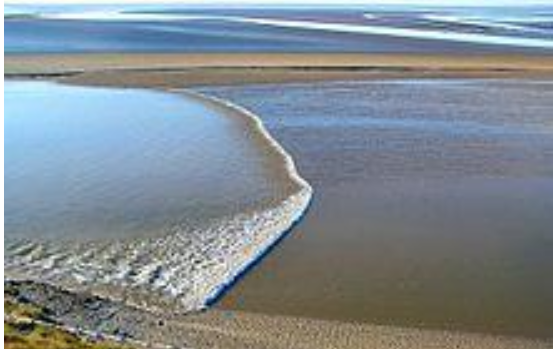 Tidal Bore